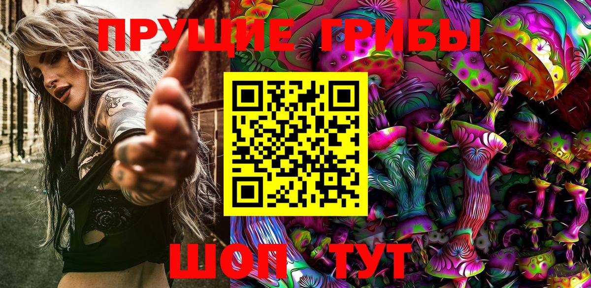 Химки  Галлюциногенные грибы GOLDEN TEACHER  Вход с VPN  Галлюциногенные грибы прущие грибы 