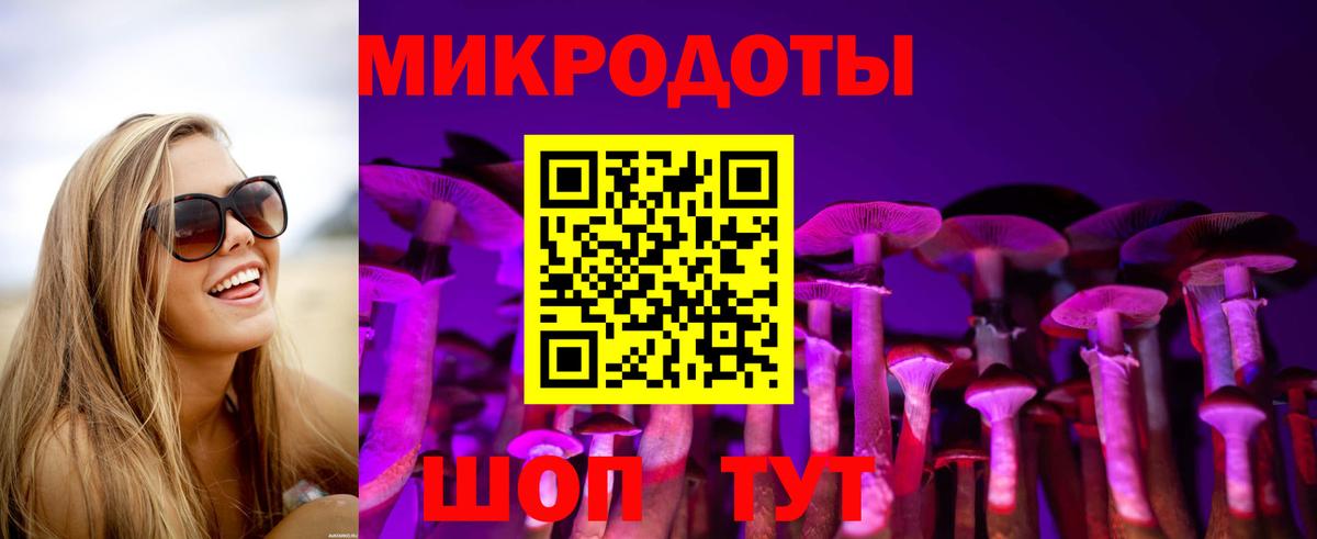Галлюциногенные грибы Cubensis Химки